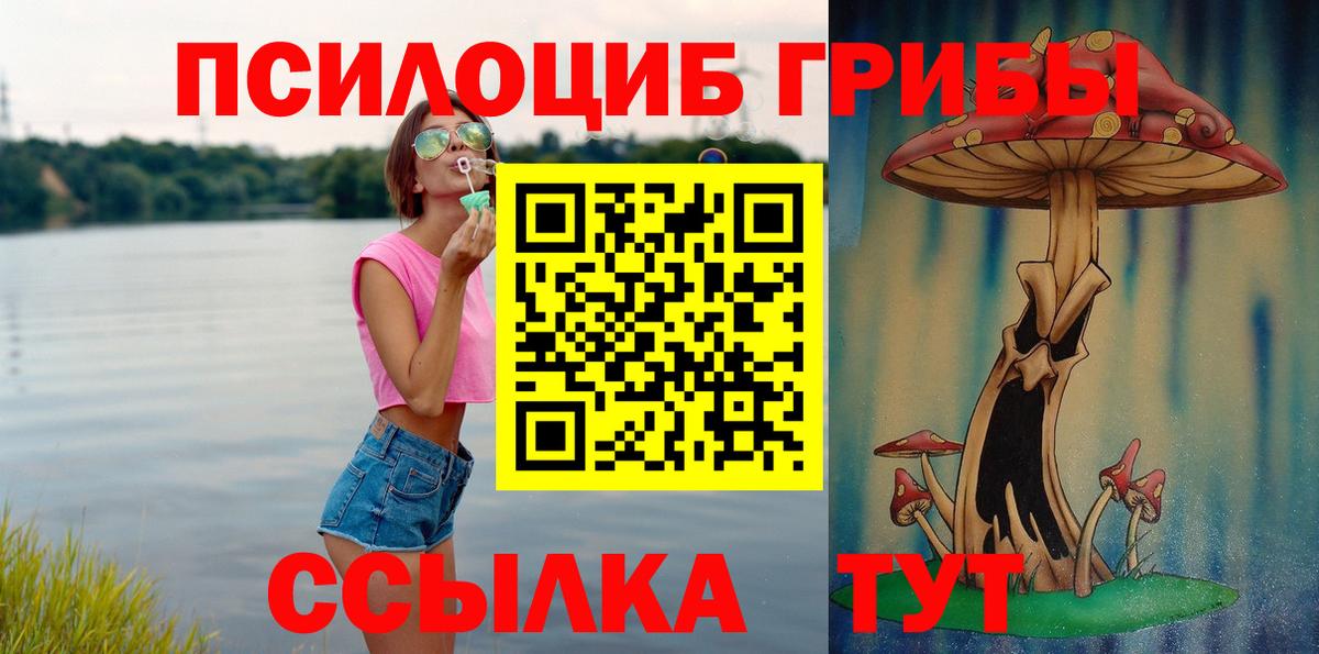 Галлюциногенные грибы Psilocybe Медногорск