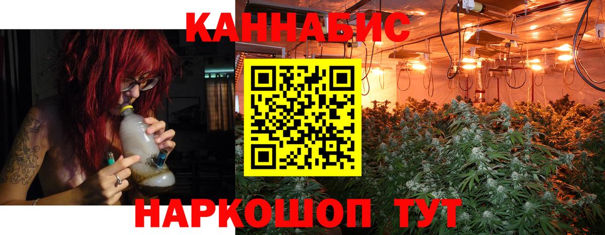Бошки марихуана сатива  Конопля тримм  Шишки марихуана конопля  Вход с VPN  Медногорск 